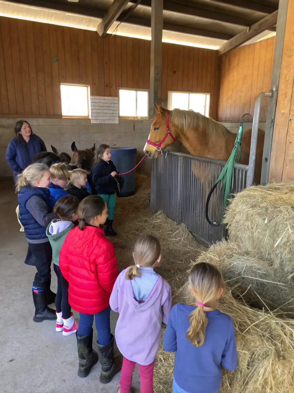 A group of children laughing and interacting with a horse during a CAVAL'NATURE summer camp activity, showcasing the joy and learning involved.